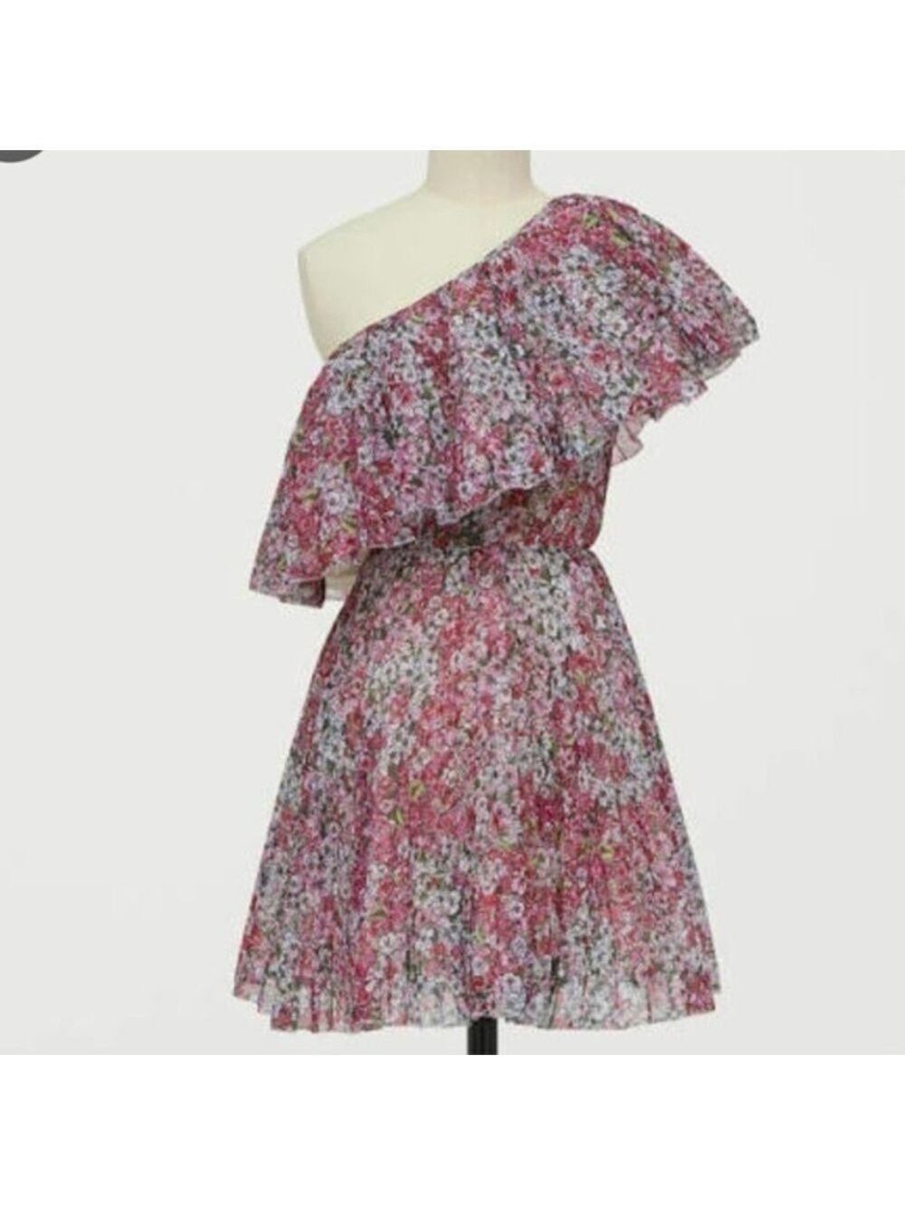 GIAMBATTISTA Valli x H&M Floral One Shoulder Dress Size 0 NWT